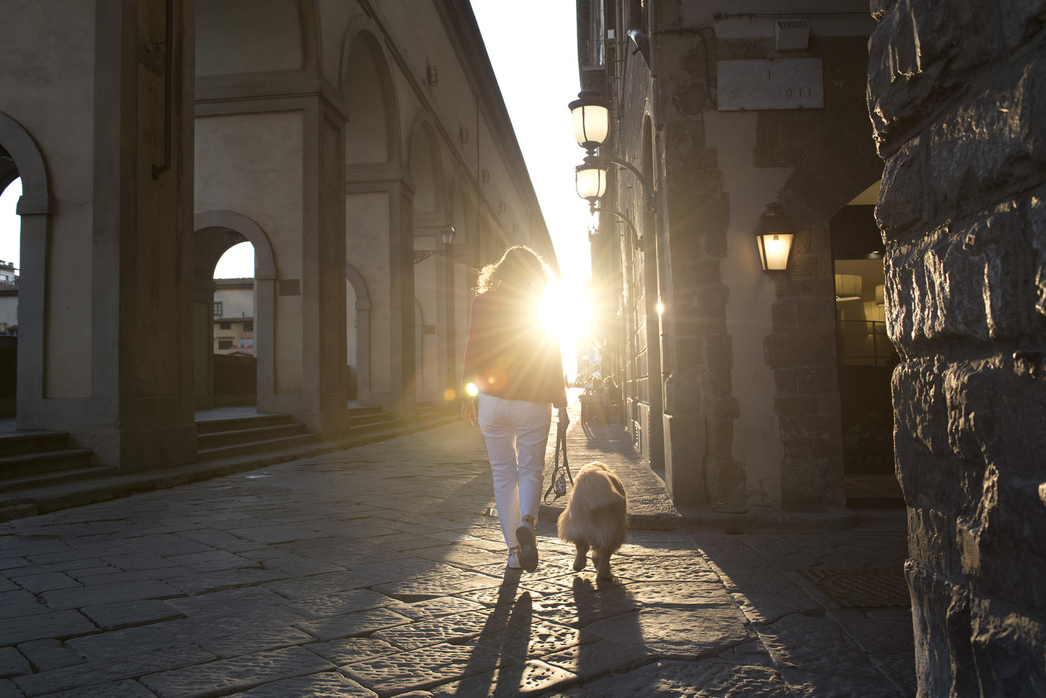 Florence Sunset Girl With Dog