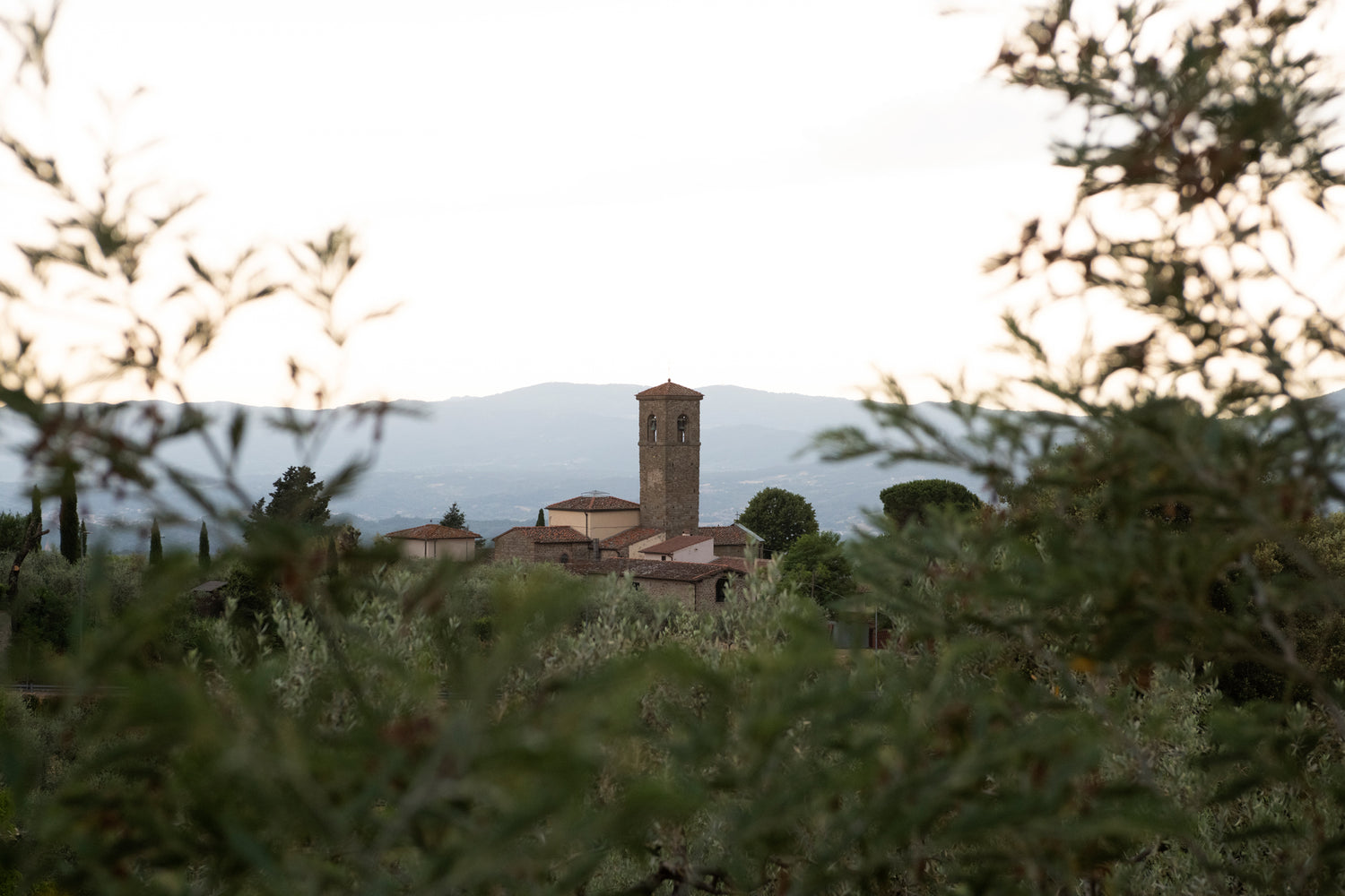 tree-tuscany-landscape-church-village