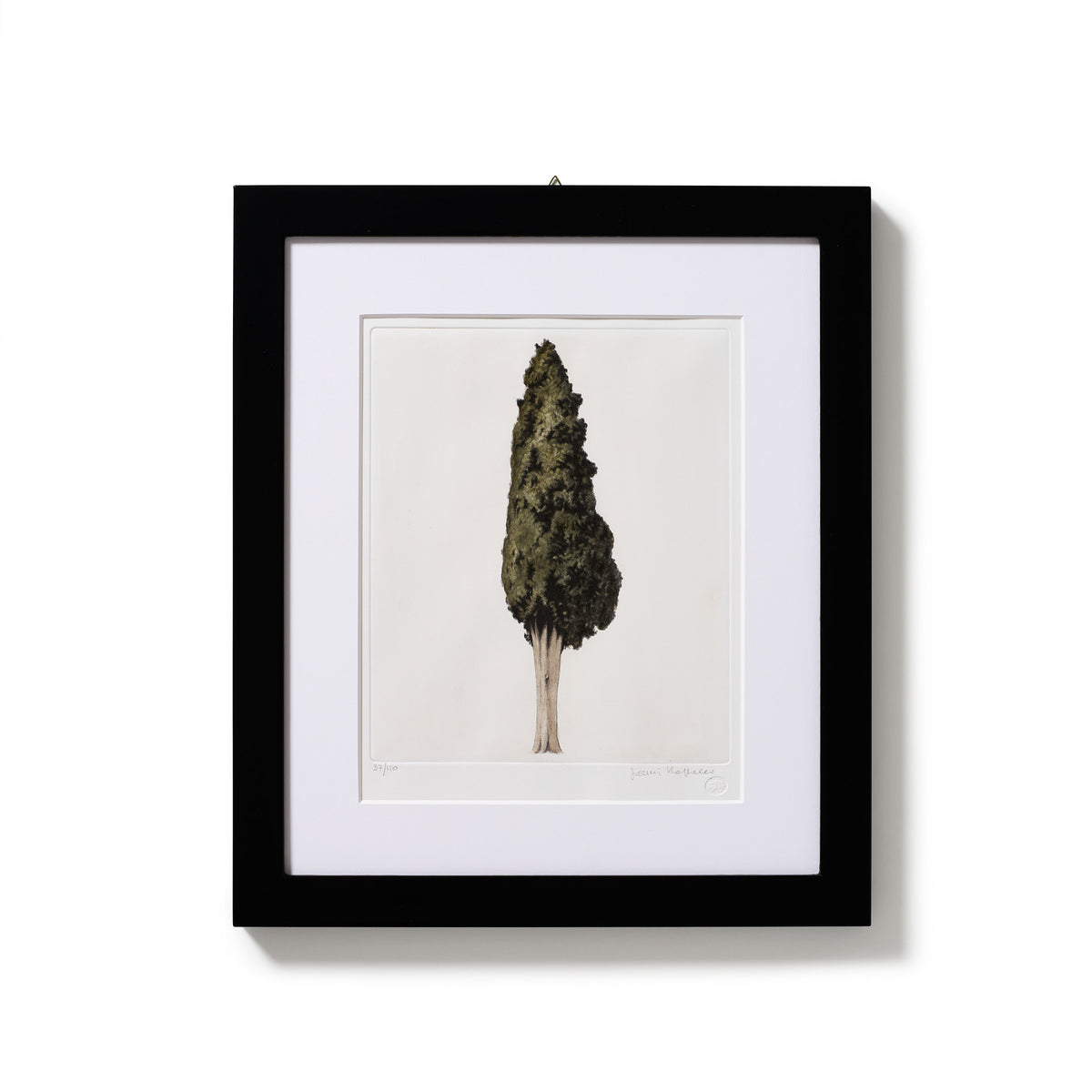 ippogrifo-artisan-etching-acquaforte-watercolor-cypress