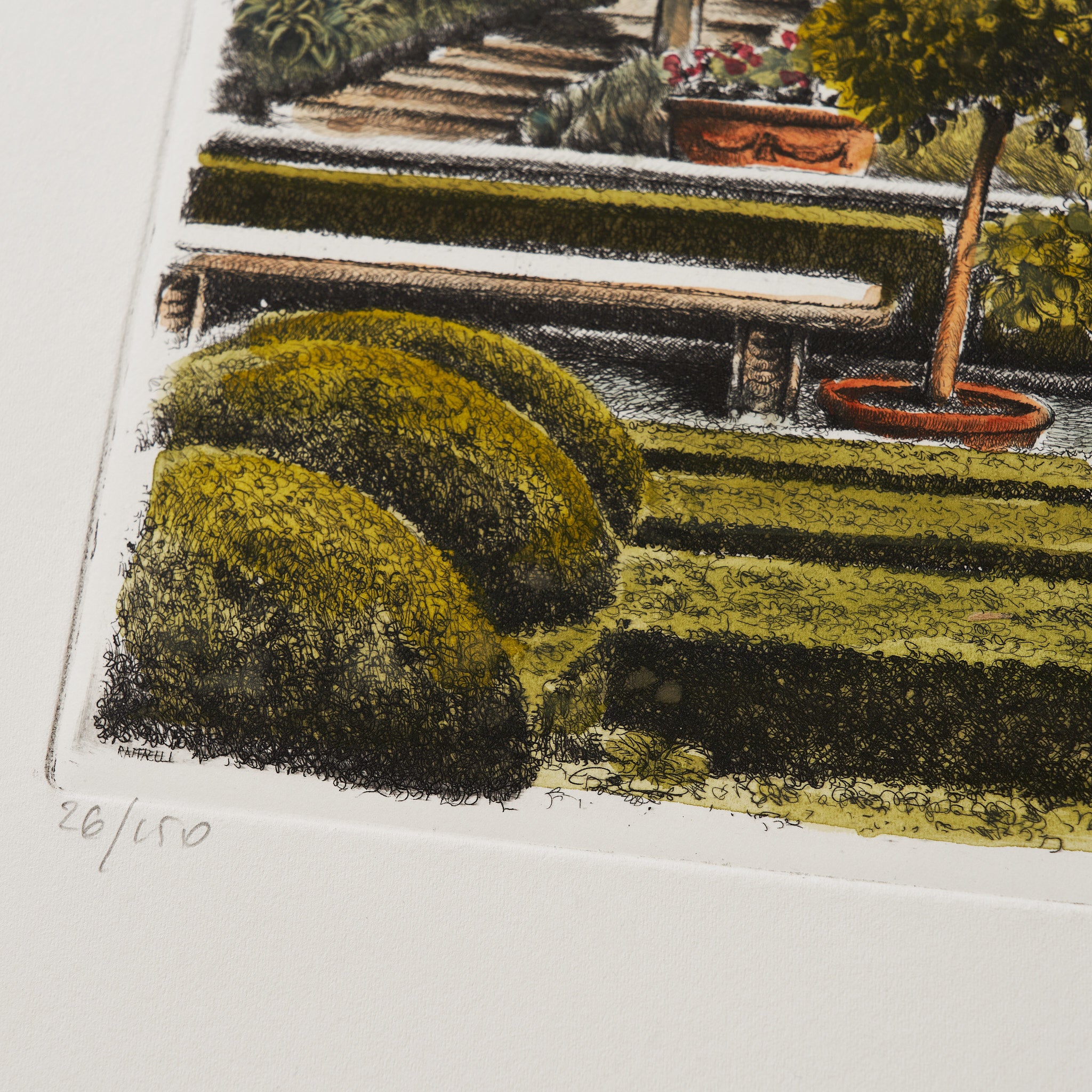 ippogrifo-artisan-etching-acquaforte-watercolor-italian-garden