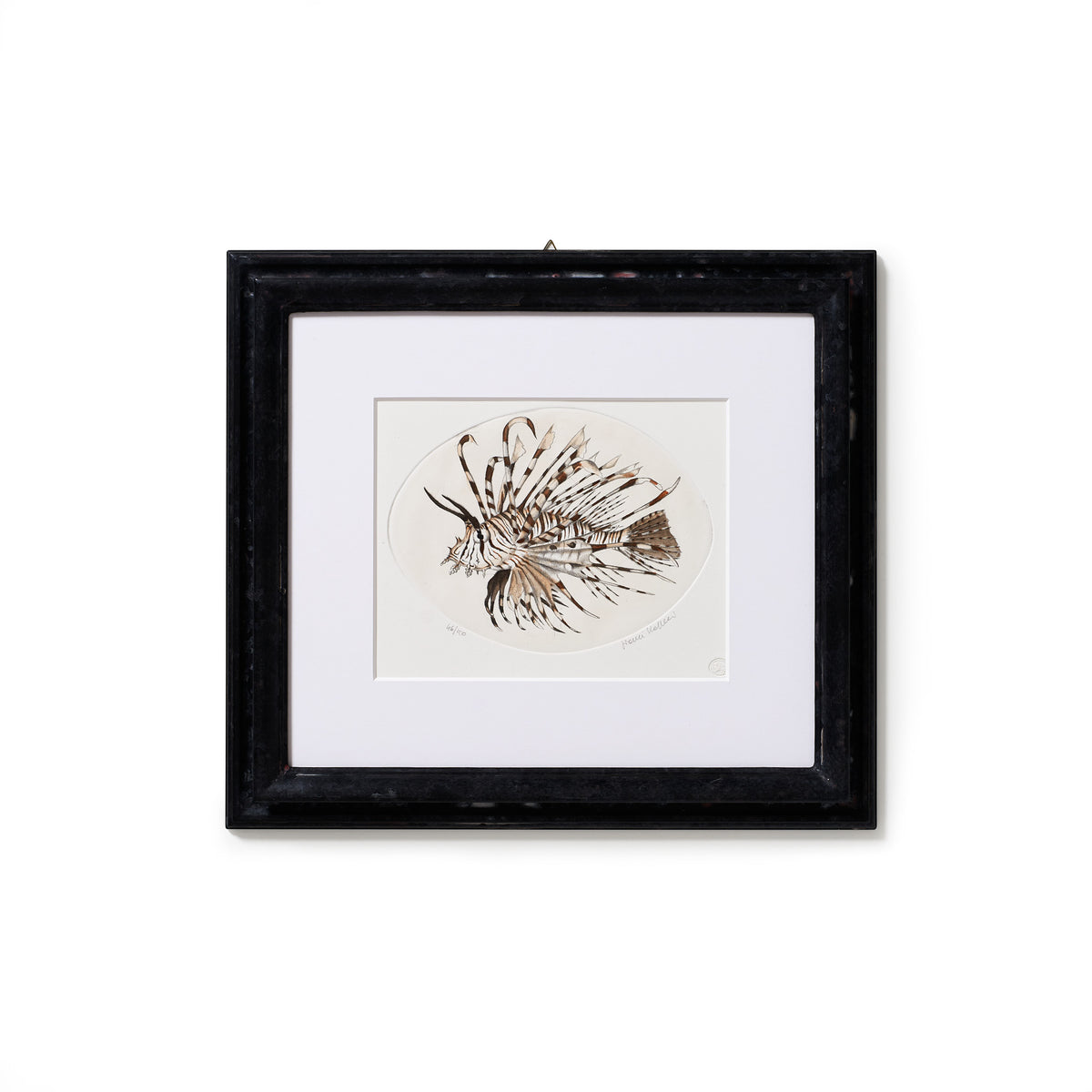 ippogrifo-artisan-etching-acquaforte-watercolor-lion-fish