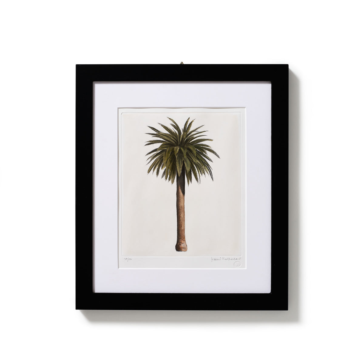 ippogrifo-artisan-etching-acquaforte-watercolor-palm-tree