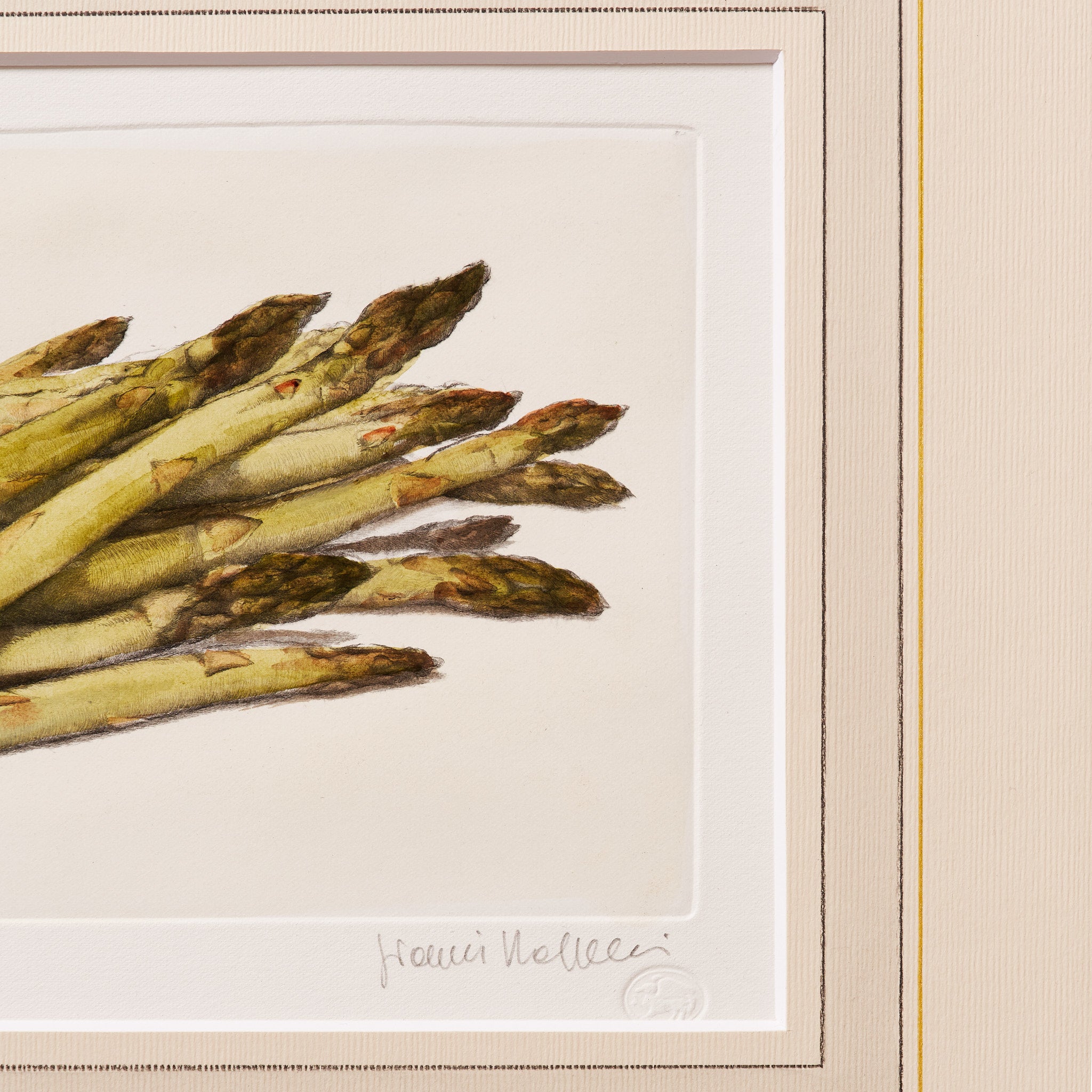 ippogrifo-artisan-etching-acquaforte-watercolor-asparagus