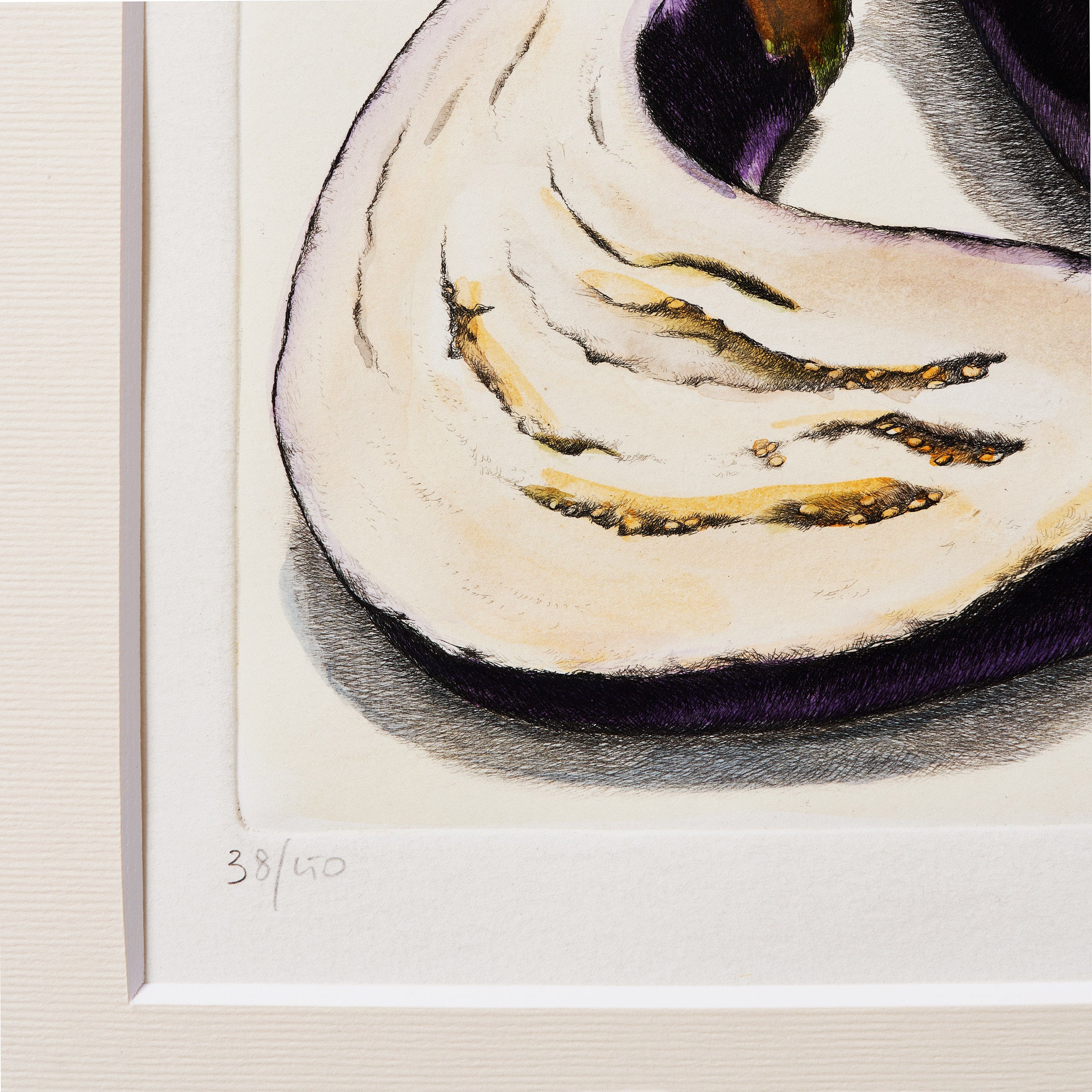 ippogrifo-artisan-etching-acquaforte-watercolor-eggplants