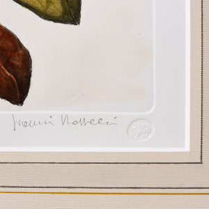ippogrifo-artisan-etching-acquaforte-watercolor-magnolia