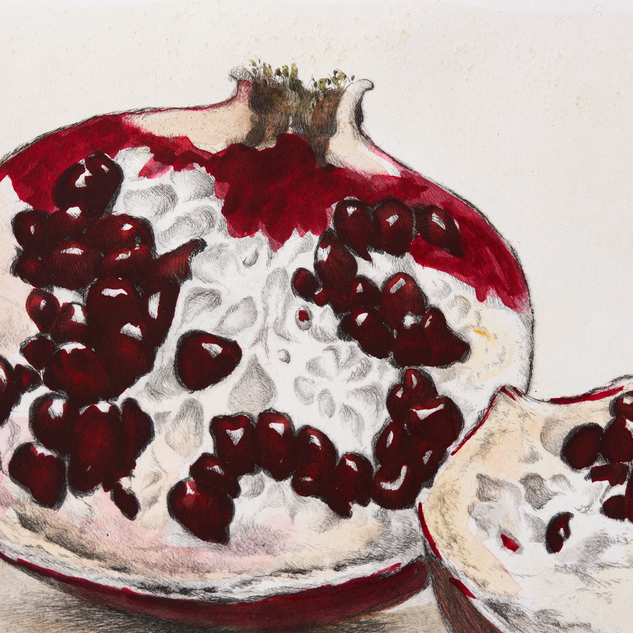 ippogrifo-artisan-etching-acquaforte-watercolor-pomegranates
