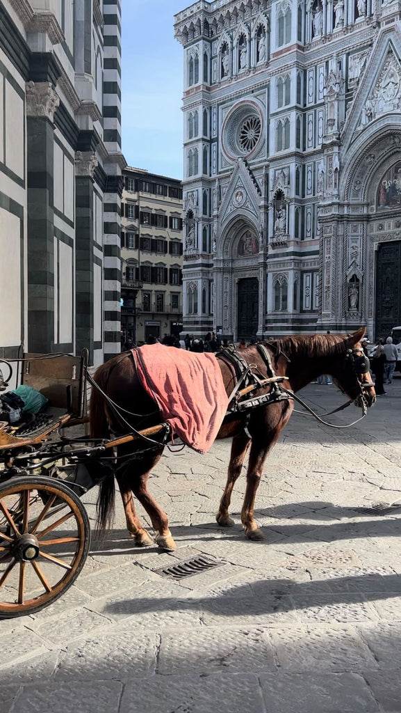 Firenze, Piazza Duomo
