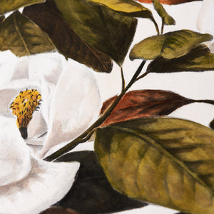 ippogrifo-artisan-etching-acquaforte-watercolor-magnolia