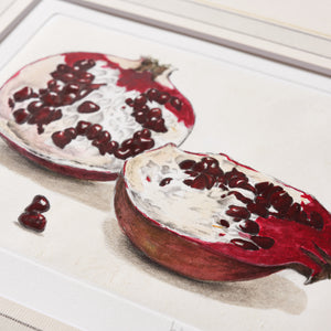 ippogrifo-artisan-etching-acquaforte-watercolor-pomegranates