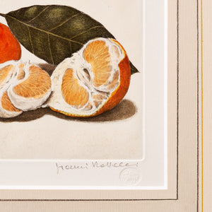 ippogrifo-artisan-etching-acquaforte-watercolor-tangerines