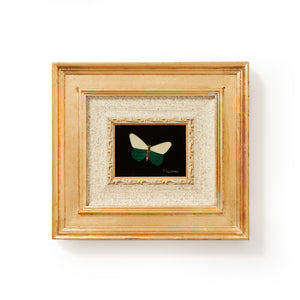 traversari-artisan-mosaic-butterfly